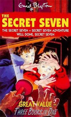 Book cover for The Secret Seven