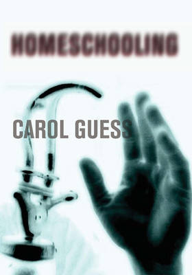 Book cover for Homeschooling