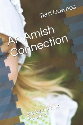 Book cover for An Amish Connection