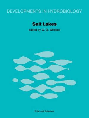 Book cover for Salt Lakes