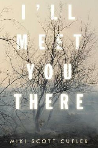 Cover of I'Ll Meet You There