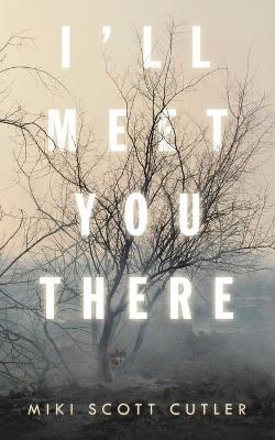 Book cover for I'Ll Meet You There