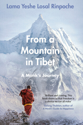 Cover of From a Mountain In Tibet