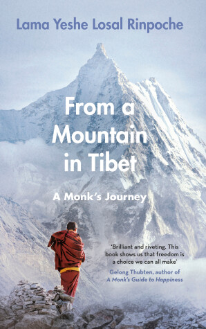 Book cover for From a Mountain In Tibet