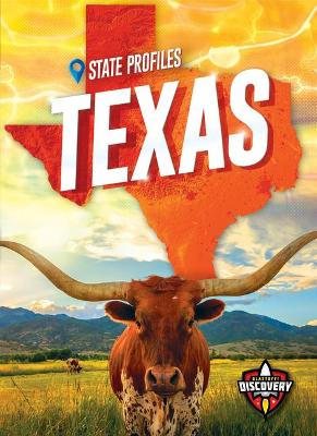 Book cover for Texas