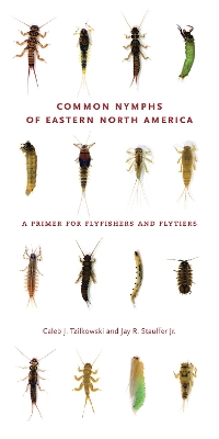 Cover of Common Nymphs of Eastern North America