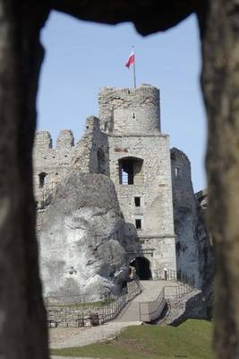 Book cover for The Ogrodzieniec Castle in Poland