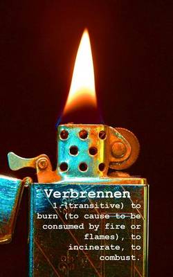 Book cover for Verbrennen