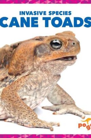 Cover of Cane Toads