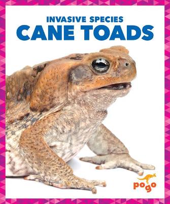 Book cover for Cane Toads