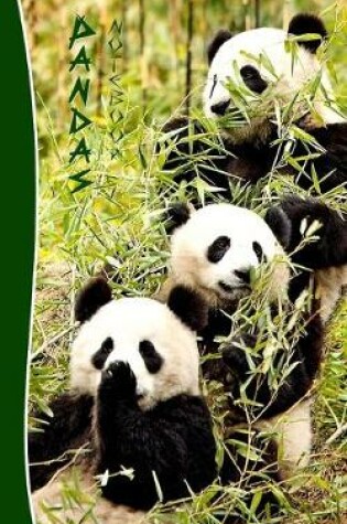 Cover of Pandas Notebook