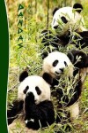 Book cover for Pandas Notebook