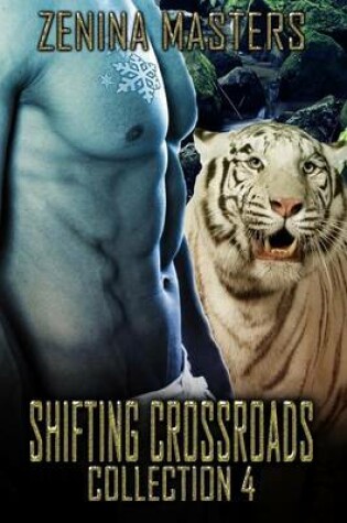 Cover of Shifting Crossroads Collection 4