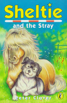 Book cover for Sheltie And the Stray