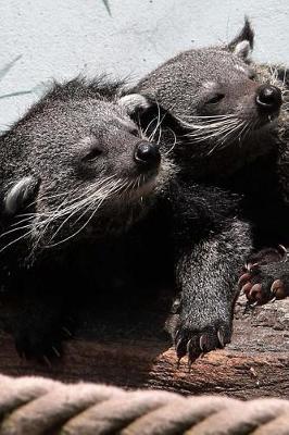 Book cover for Two Resting Bearcats Binturong Animals Southeast Asia Journal