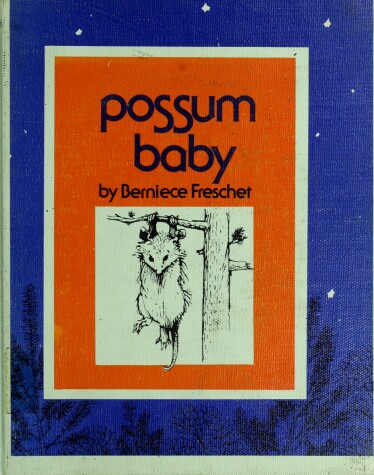 Book cover for Possum Baby