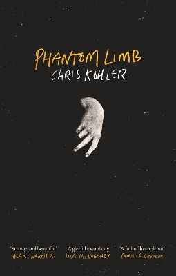 Book cover for Phantom Limb