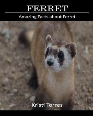 Book cover for Amazing Facts about Ferret