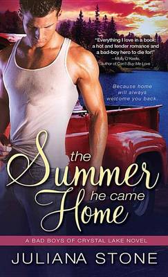 Book cover for Summer He Came Home
