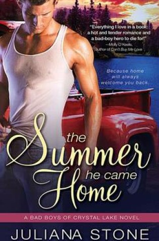 Cover of The Summer He Came Home
