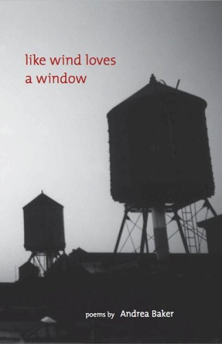 Book cover for Like Wind Loves a Window