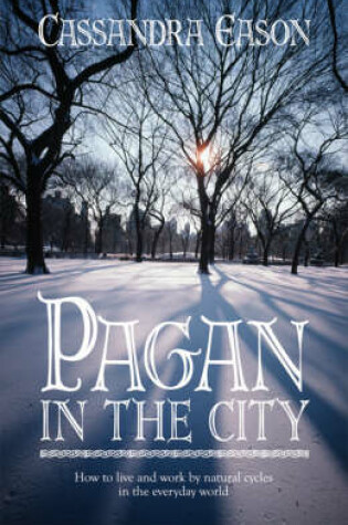 Cover of Pagan in the City