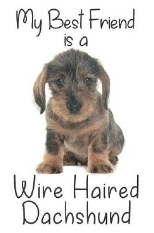 Cover of My best Friend is a Wire Haired Dachshund