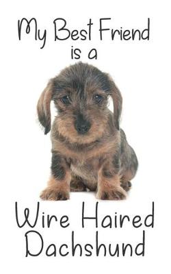 Book cover for My best Friend is a Wire Haired Dachshund