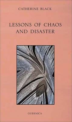 Book cover for Lessons of Chaos and Disaster