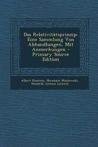 Cover of Das Relativitatsprinzip
