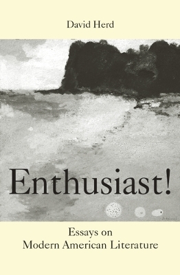 Book cover for Enthusiast!