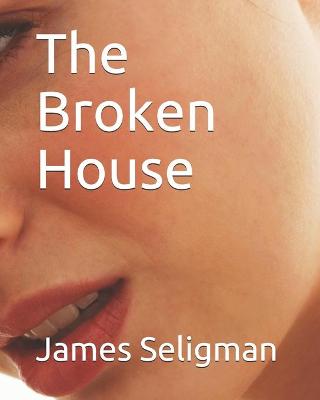 Book cover for The Broken House