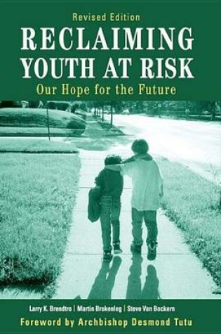 Cover of Reclaiming Youth at Risk