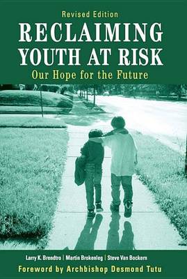 Book cover for Reclaiming Youth at Risk