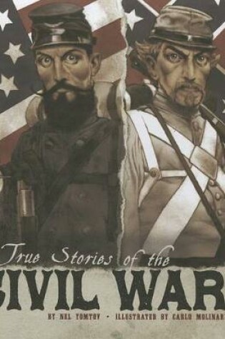 Cover of True Stories of the Civil War