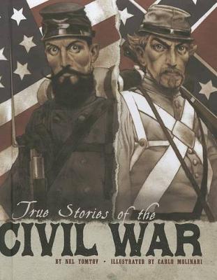 Book cover for True Stories of the Civil War