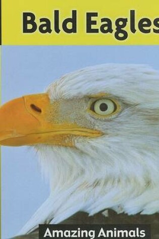 Cover of Bald Eagles