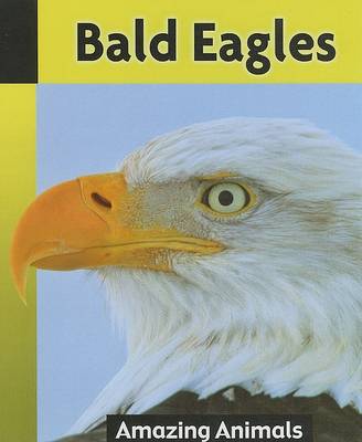 Book cover for Bald Eagles