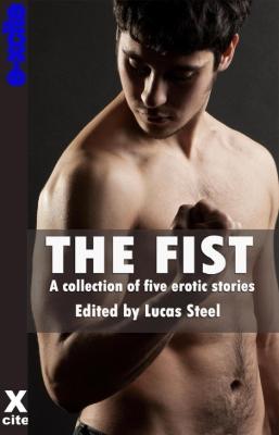 Book cover for The Fist