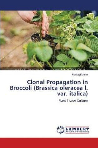 Cover of Clonal Propagation in Broccoli (Brassica oleracea l. var. italica)