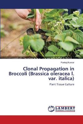 Book cover for Clonal Propagation in Broccoli (Brassica oleracea l. var. italica)