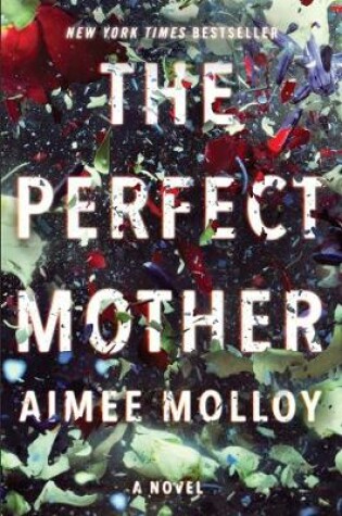 Cover of The Perfect Mother