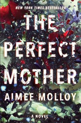 Book cover for The Perfect Mother