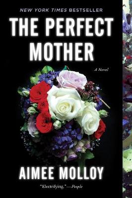 Book cover for The Perfect Mother