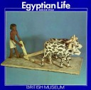 Cover of Egyptian Life (Paper Only)