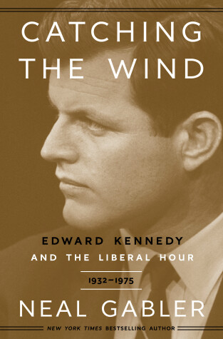 Book cover for Catching the Wind