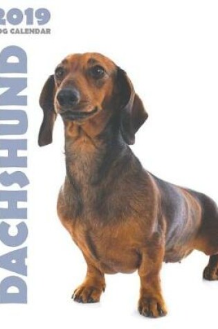 Cover of Dachshund 2019 Dog Calendar