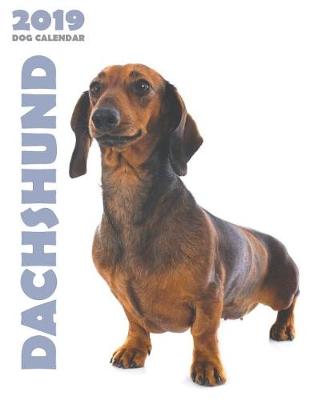 Book cover for Dachshund 2019 Dog Calendar