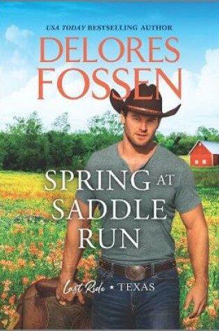 Cover of Spring at Saddle Run