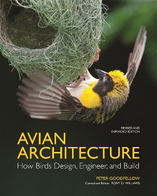 Book cover for Avian Architecture  Revised and Expanded Edition